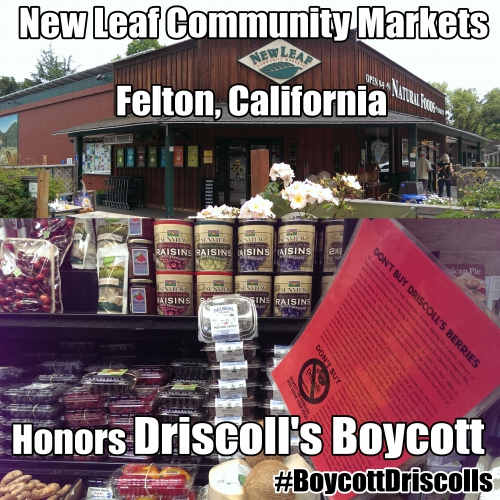sm_new-leaf-felton-boycott-driscolls.jpg 