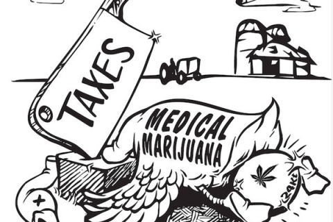 480_medical-marijuana-taxes.jpg