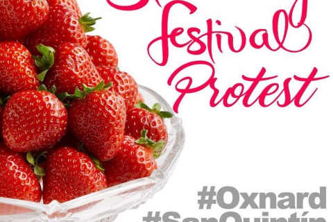480_oxnard-strawberry-festival-protest-2016.jpg