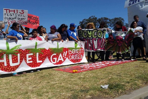 480_boycott-driscolls-oxnard-strawberry-festival_1_1_1.jpg