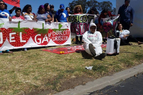 480_boycott-driscolls-oxnard-strawberry-festival_7.jpg