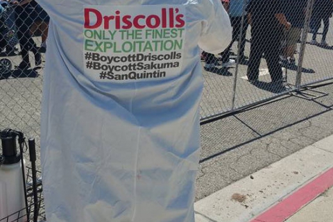 480_boycott-driscolls-oxnard-strawberry-festival_8.jpg