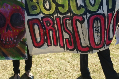 480_boycott-driscolls-oxnard-strawberry-festival_9.jpg