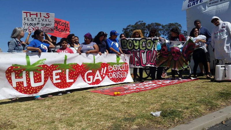 sm_boycott-driscolls-oxnard-strawberry-festival_1.jpg 