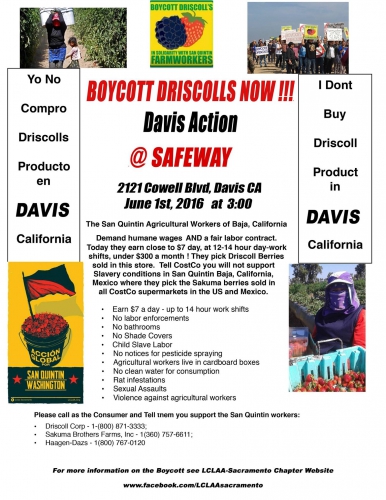 sm_boycott-driscolls-now-davis-action.jpg 