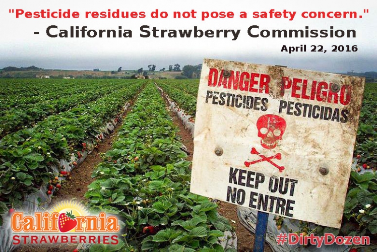 sm_strawberry-pesticides-danger.jpg 