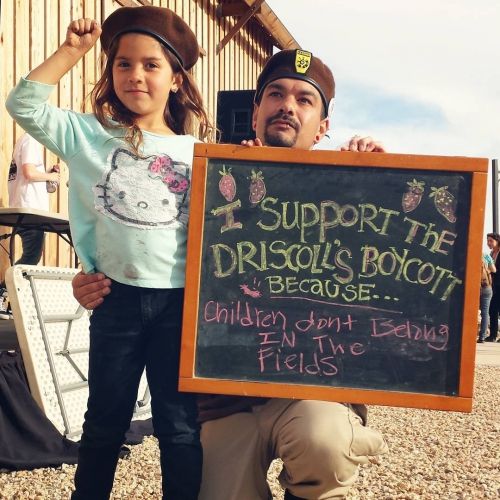sm_i-support-driscolls-boycott_5-19-16.jpg 