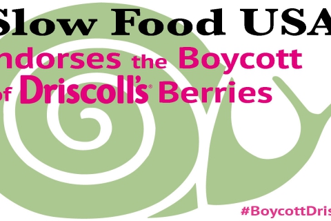 480_slow-food-usa-boycott-driscolls.jpg