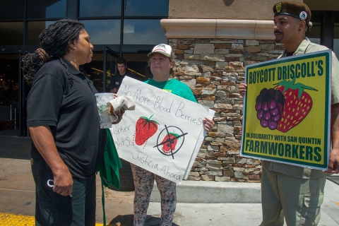 480_boycott-driscolls-watsonville-safeway_12_7-2-16.jpg