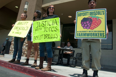 480_boycott-driscolls-watsonville-safeway_14_7-2-16.jpg