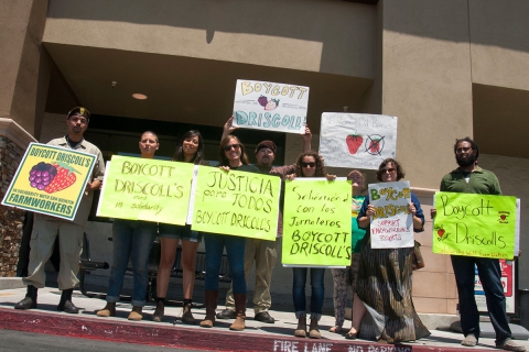 480_boycott-driscolls-watsonville-safeway_17_7-2-16.jpg