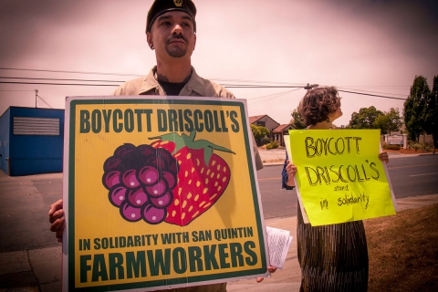 480_boycott-driscolls-watsonville-safeway_2_7-2-16_1.jpg
