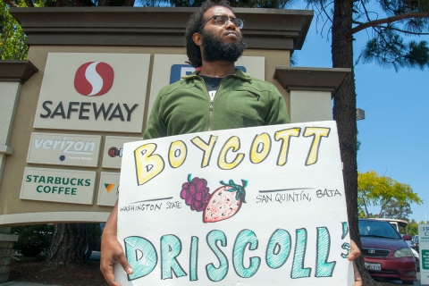 480_boycott-driscolls-watsonville-safeway_4_7-2-16.jpg