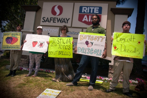480_boycott-driscolls-watsonville-safeway_5_7-2-16.jpg