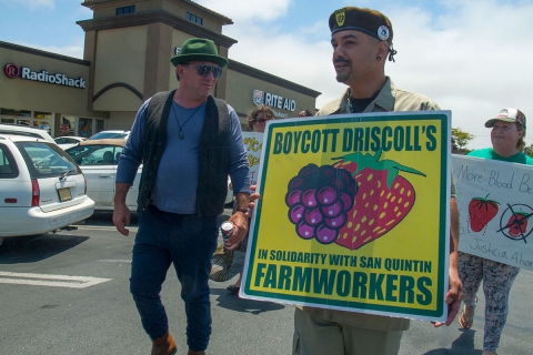 480_boycott-driscolls-watsonville-safeway_6_7-2-16.jpg