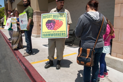 480_boycott-driscolls-watsonville-safeway_8_7-2-16.jpg