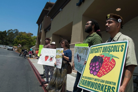 480_boycott-driscolls-watsonville-safeway_9_7-2-16.jpg