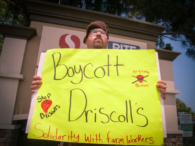 sm_boycott-driscolls-watsonville-safeway_3_7-2-16.jpg 