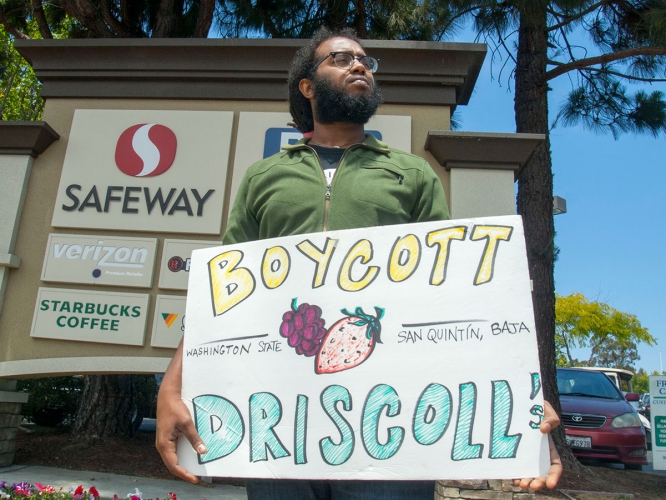 sm_boycott-driscolls-watsonville-safeway_4_7-2-16.jpg 