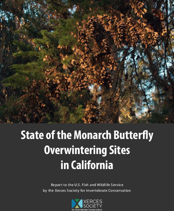 stateofmonarchoverwinteringsitesinca_xercessociety.pdf_600_.jpg