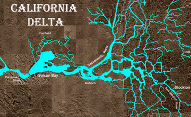 delta-sacramento_72dpi.jpg 