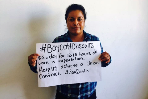 480_boycott-driscolls-san-quintin-help-us_1.jpg 