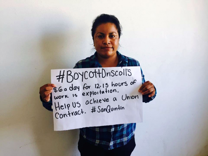 sm_boycott-driscolls-san-quintin-help-us.jpg 