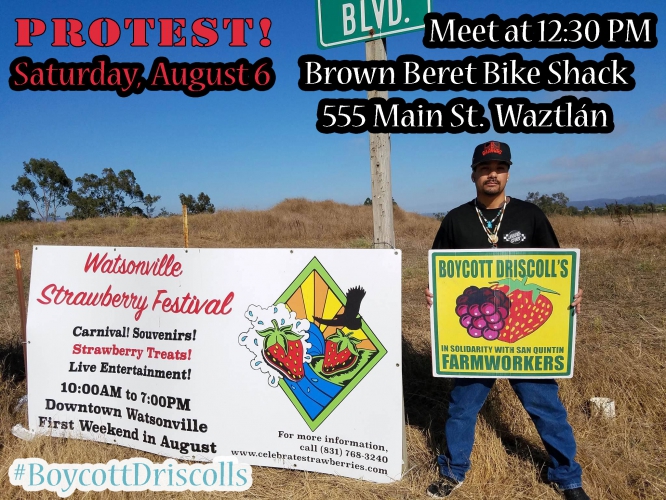 sm_boycott-driscolls-watsonville-strawberry-festival-2016-protest.jpg 