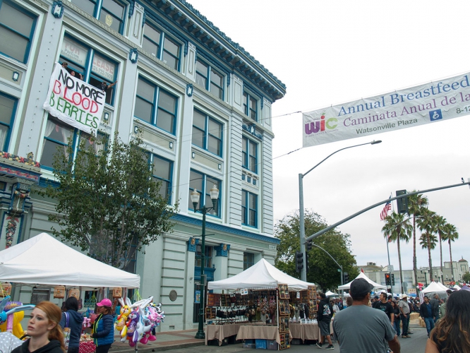 sm_watsonville-strawberry-festival_4_8-6-16.jpg 