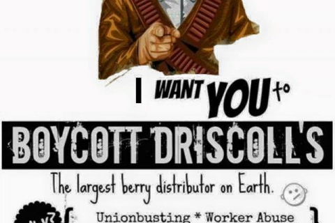 480_i-want-you-to-boycott-driscolls.jpg