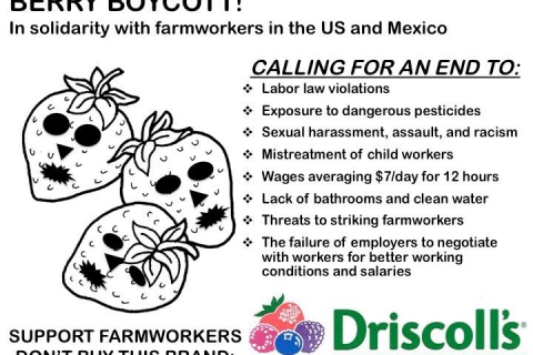 480_support-farmworkers-boycott-driscolls.jpg