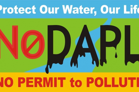 480_no_dapl_1.jpg