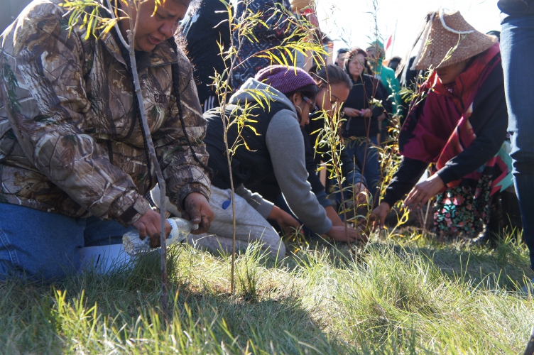 sm_no_dapl_action_dakota_access_pipeline_9-25-16_2_planting_trees.jpg 