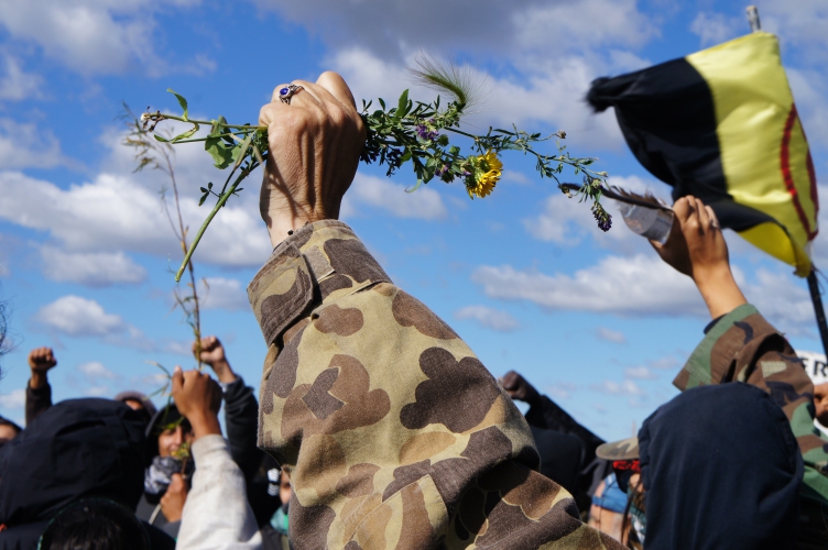 sm_no_dapl_action_dakota_access_pipeline_9-25-16_6.jpg 