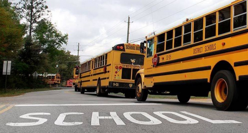 sm_school_busses.jpg