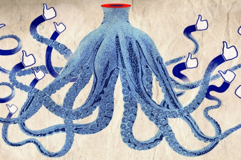 480_facebook_octopus_1.jpg