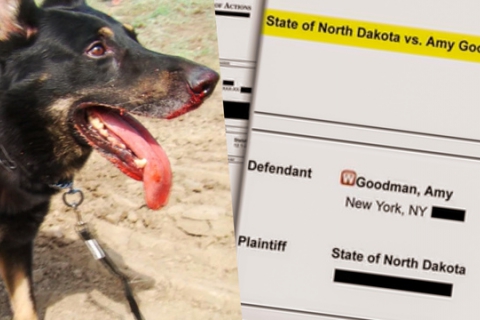 north_dakota_dogs.jpg