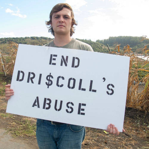 sm_boycott-driscolls_18_10-15-16.jpg 