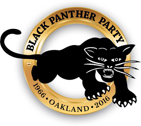 bpp50th-logo_sm.png 