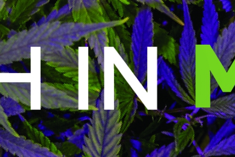 480_month-in-marijuana_1.jpg 