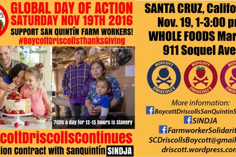 480_boycott_driscolls_santa_cruz_1.jpg