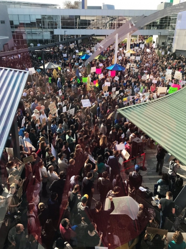 sm_rachelbeen-googlersunite-googleplex43.jpg 