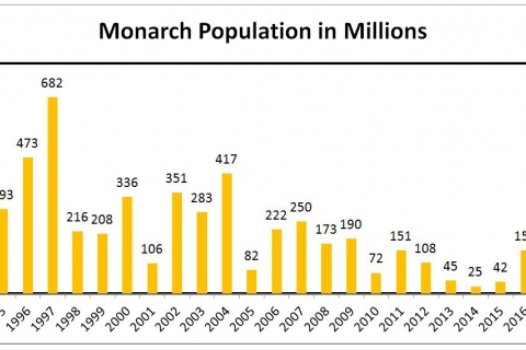 480_monarchpopulationgraph_center_for_biological_diversity_1.jpg