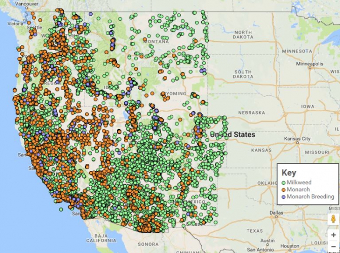 sm_western_monarch_milkweed_mapper_screen_shot.jpg 