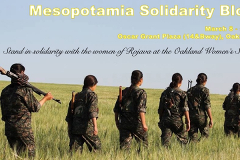 ypj_690_3_copy.jpg
