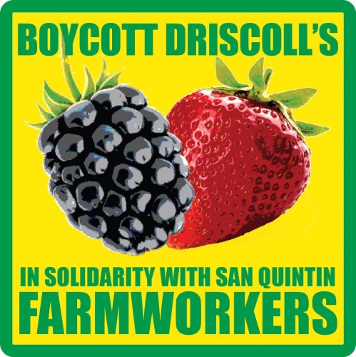 sm_boycott-driscolls-solidarity.jpg