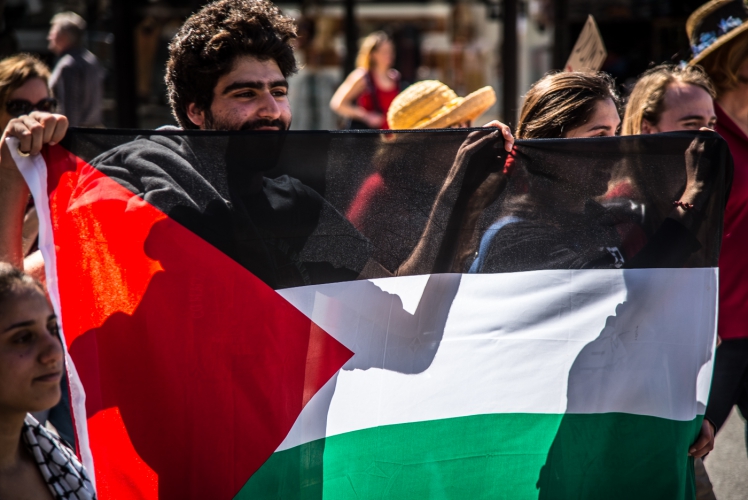 sm_international-womens-day-strike-santa-cruz-2017-18-palestine-flag.jpg 