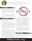 keystone_factsheet_print_and_web.pdf