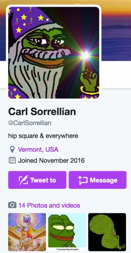 sm_carl-sorrellian-pepe-frog-tim-pool-fan.jpg 