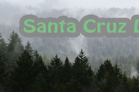 480_santa-cruz-localwiki.jpg